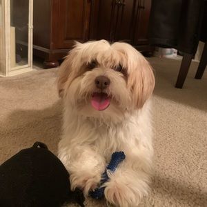 Meet your Posher, Maureen